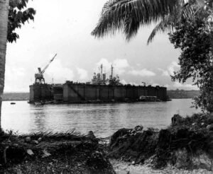ABSD floating dry dock with a ship inside, palm trees in foreground