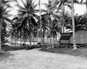 Palm trees line a dirt road leading to buildings on Aore, historical scene.