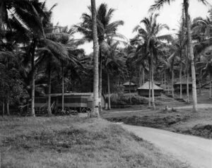 Aore historical buildings nestled among palm trees, with a dirt road in the foreground.