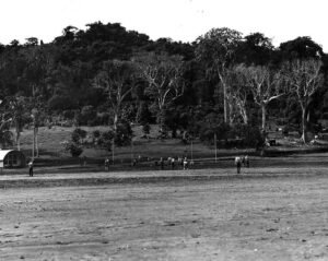 Aore island landscape with trees, buildings, and people playing sports.