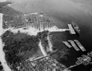 Aerial view of a harbor with ships and palm trees, suggesting historical repairs.