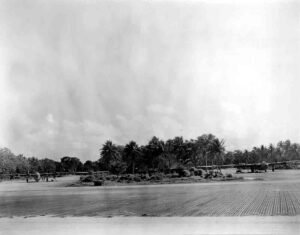 Historical bomber #1 on an airfield with palm trees.