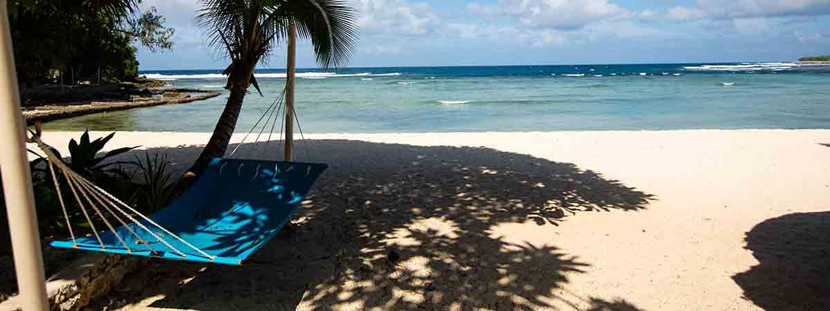 Blue hammock on a sandy beach with palm trees and ocean waves.