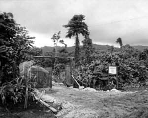 Entrance to a jungle training camp with "Course Now Jungle Living" sign