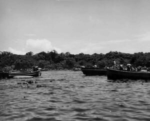 Coolidge era boats on a lake with lush green trees in the background.