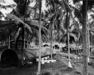 Hospital #3: Quonset huts nestled among palm trees, with laundry drying outside.