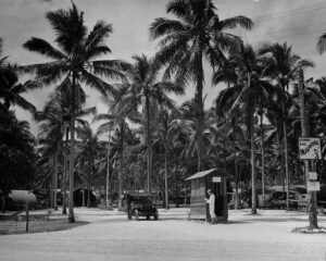 Hospital #3 sign near palm trees, military trucks, and a jeep.
