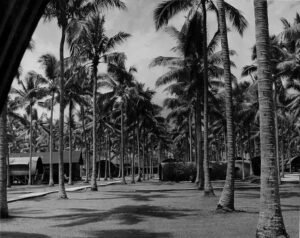Hospital #3 with palm trees and barracks in historical black and white.