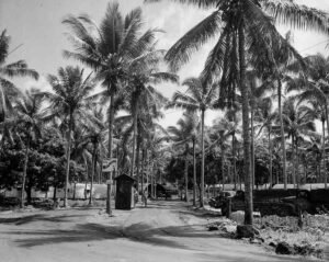 Hospital #3 sign amidst palm trees, a small building and military trucks.