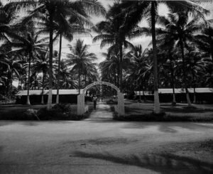 Base Hospital #6 with palm trees and barracks