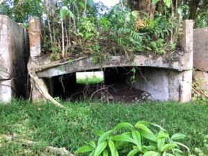 Overgrown concrete bunker with arched entrance, possibly a historical bakery ruin.