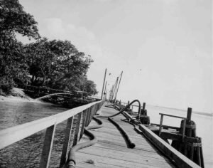Wooden wharf with hoses and trees, historical wharves context.