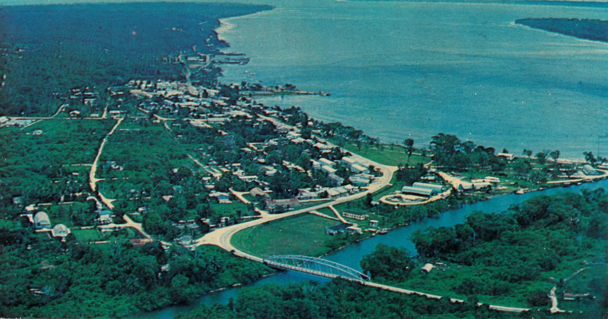 Aerial view of a coastal town with a river and bridge, surrounded by lush green trees.