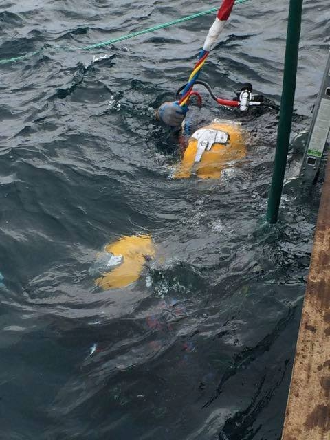 Diver in yellow suit submerged in dark water near a boat.