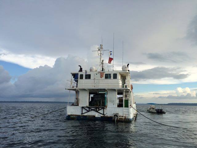 The Elwood J Euart vessel, a white ship, floats on calm water under a cloudy sky.