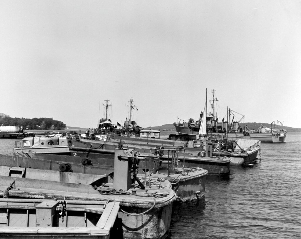 Fleet of landing craft and support vessels in a harbor