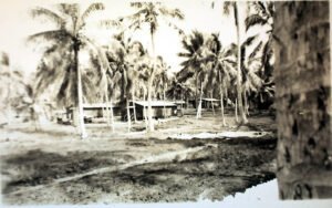 Palm trees and barracks at a historical 25th Infantry Division encampment.