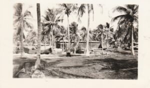 25th Infantry Division camp amidst palm trees, tents, and barracks.