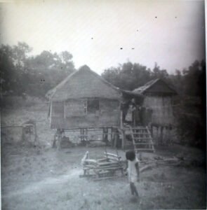 25th historical photo: Traditional stilt houses with thatched roofs in a rural village setting.