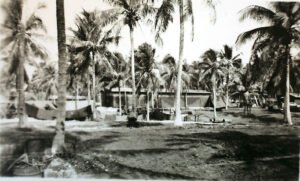 25th Infantry Division camp with tents and palm trees